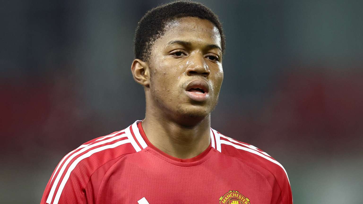 的成长轨迹 的成长轨迹